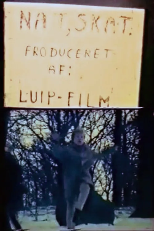 Póster de la película Nat, skat