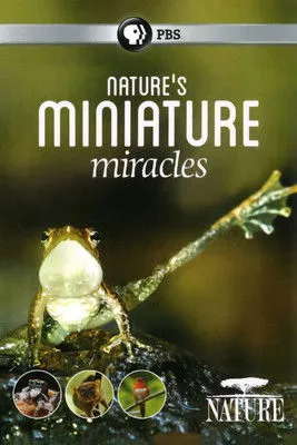 Hugh Dennis interpreta a Narrator en Nature's Miniature Miracles