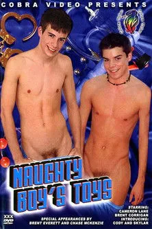 Póster de la película Naughty Boy's Toys