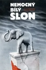 Borík Procházka interpreta a en Nemocný bílý slon