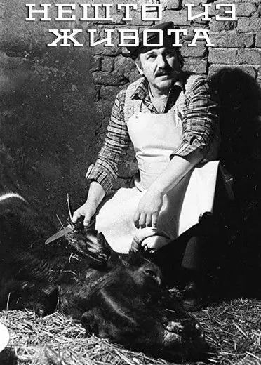 Ivan Klemenc interpreta a Radetov drug 2 en Nešto iz života