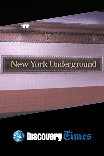 Jim Dwyer interpreta a Self en New York Underground