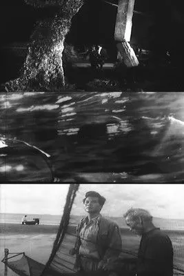 Tan Danh interpreta a Van en Những Ngôi Sao Biển