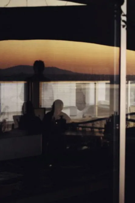 Portada de Night for Day