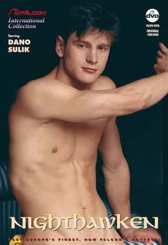 Póster de Nighthawken
