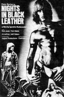 Póster de la película Nights in Black Leather
