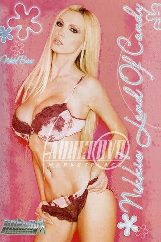 Póster de Nikki's Land of Candy