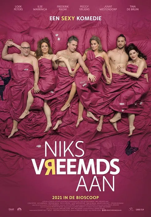 Póster de Niks vreemds aan