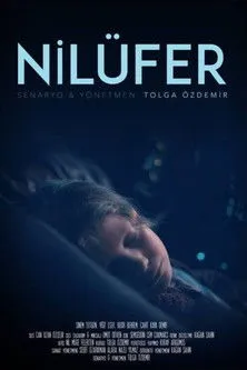 Póster de la película Nilüfer