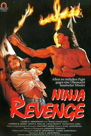 Portada de Ninja Vengeance
