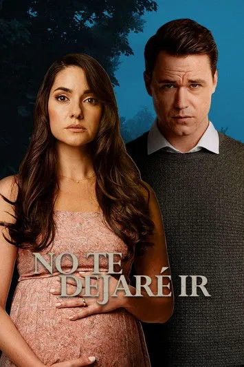 Póster de No te dejaré ir