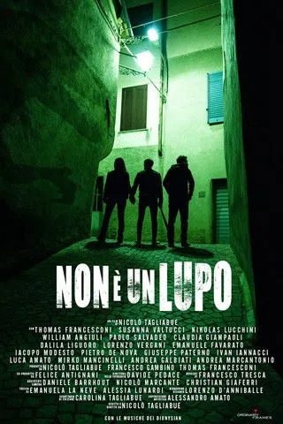 Póster de Non è un lupo