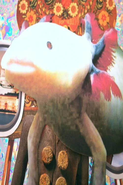 Jeffrey Leiser interpreta a oomph en Norsk Folksang