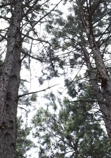 Pâmela Brighente interpreta a Roberta en noturna