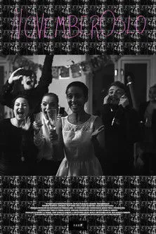 Póster de Novemberoslo