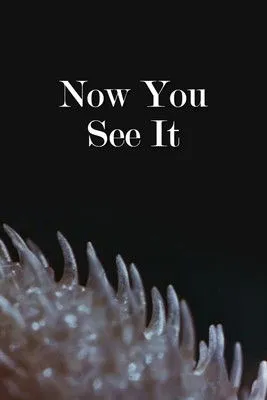 Póster de la película Now You See It