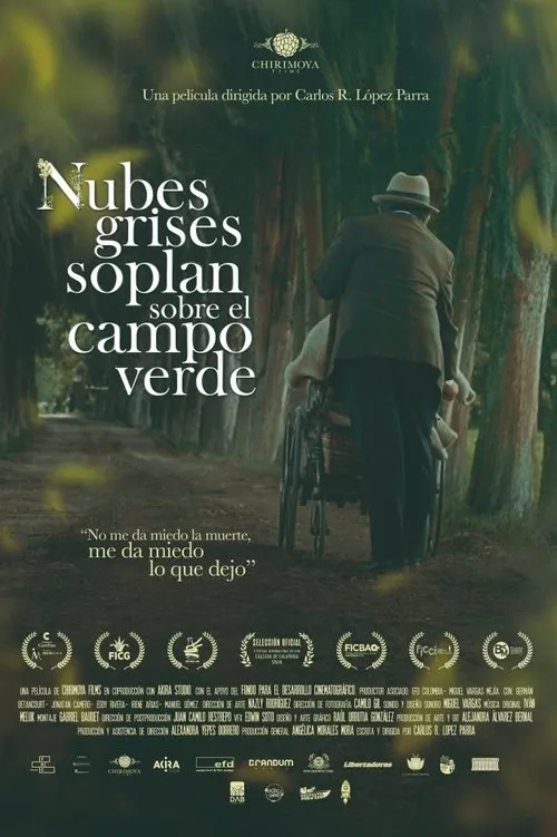 Póster de Nubes grises soplan sobre el campo verde