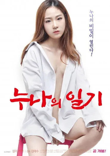Póster de 누나의 일기