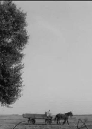 Póster de Nyári mozi