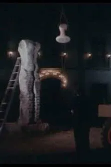 João Cutileiro interpreta a Narrator en O Encoberto