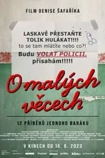 Póster de O malých věcech