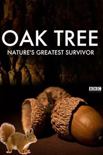 George McGavin interpreta a Himself - Presenter en Oak Tree: Nature's Greatest Survivor