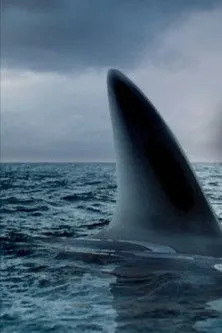 Póster de Ocean of Fear