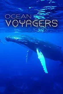 Póster de Ocean Voyagers