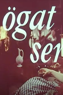 Olle Björklund interpreta a  en Ögat ser