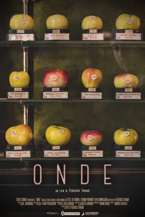 Luca Busnengo interpreta a en Onde