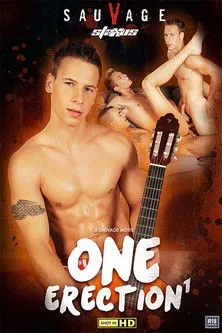 Póster de One Erection