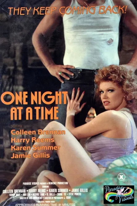 Póster de la película One Night At A Time
