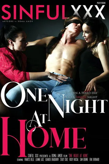 Póster de One Night At Home