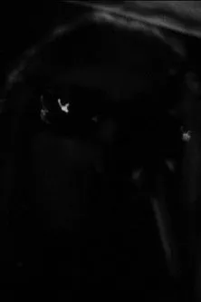 Keiji Haino interpreta a Keiji Haino en One Roll in the Blackness