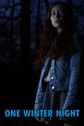 Póster de One Winter Night