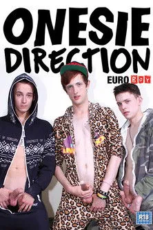 Póster de Onesie Direction