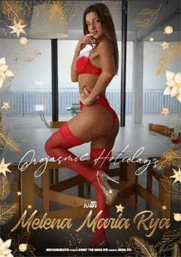 Póster de Orgasmic Holidays