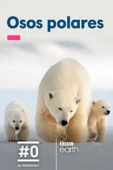 Póster de la película Osos polares
