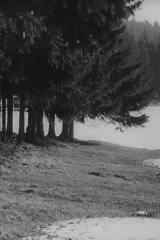 Portada de Ostern in Schwedt