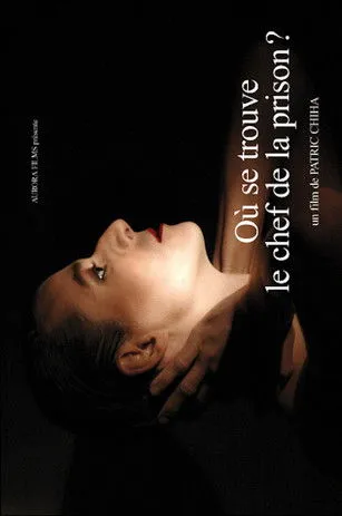 Raphaël Bouvet interpreta a L'homme en Où se trouve le chef de la prison?