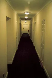 Saskia Noordhoek-Hegt interpreta a en Our Late Night