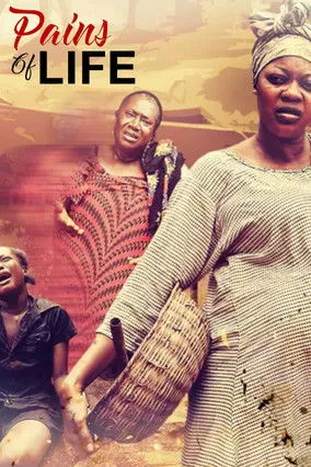 Póster de Pains Of Life