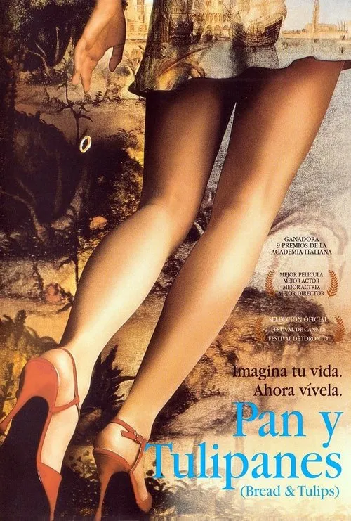 Póster de Pan y Tulipanes