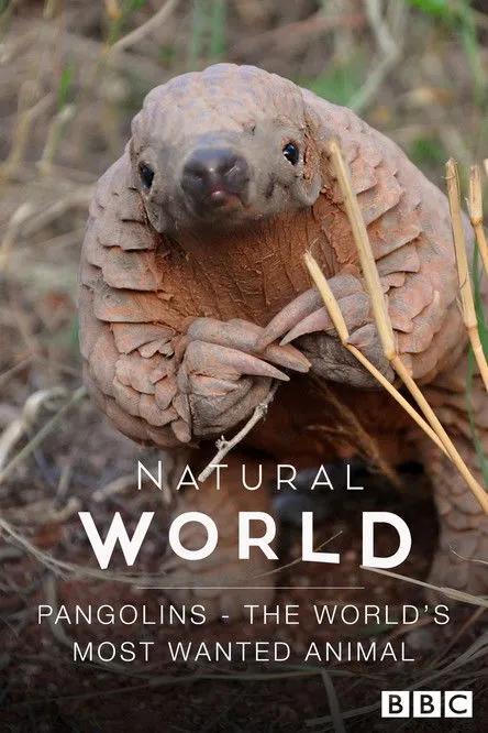 Maria Diekmann interpreta a Self - Conservationist en Pangolins: The World's Most Wanted Animal