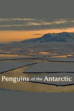 Póster de la película Penguins of the Antarctic