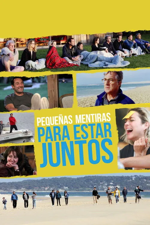 Póster de Pequeñas mentiras para estar juntos