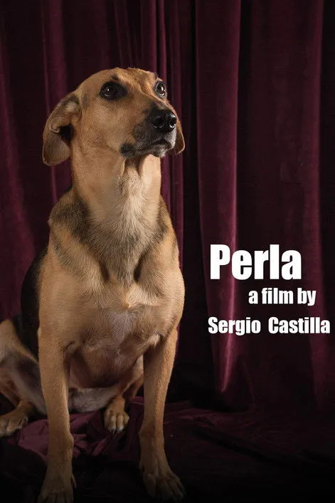 Póster de Perla: La Película