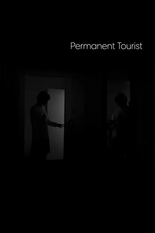 Póster de Permanent Tourist