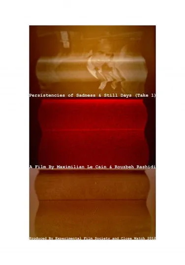Póster de Persistencies of Sadness & Still Days (Take 1)