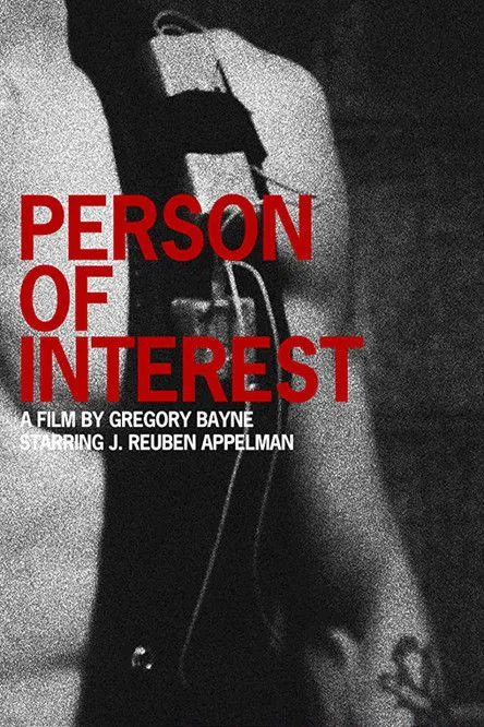 Póster de Person of Interest